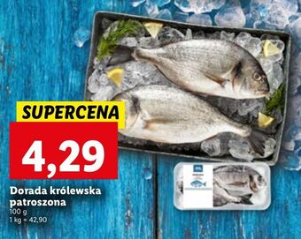 Lidl Dorada królewska patroszona oferta