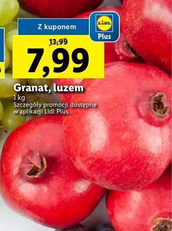 Lidl Granat oferta
