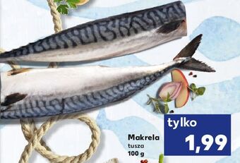Kaufland Makrela tusza oferta