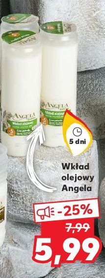 Kaufland Wkład olejowy 5 dni angela oferta