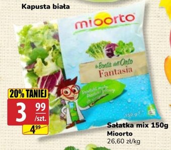 Mioorto Sałatka mix 150 g