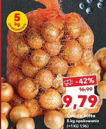 Cebula żółta