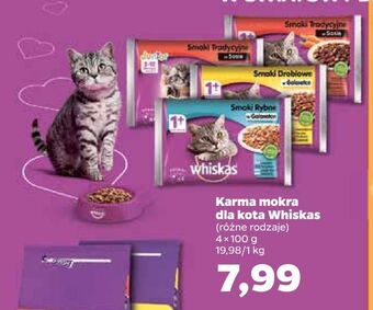 Netto Karma mokra dla kota whiskas oferta