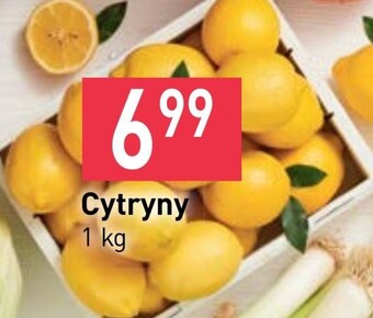 Stokrotka Market Cytryna oferta