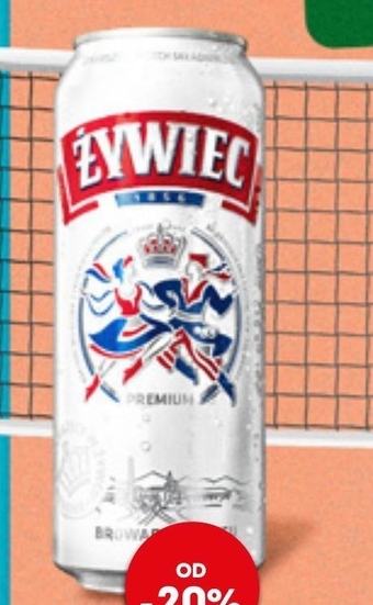 Żabka Żywiec piwo jasne 500 ml oferta