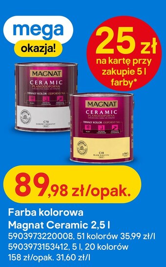Castorama Farba magnat oferta