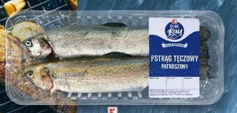 Kaufland Pstrąg tęczowy blue bay oferta