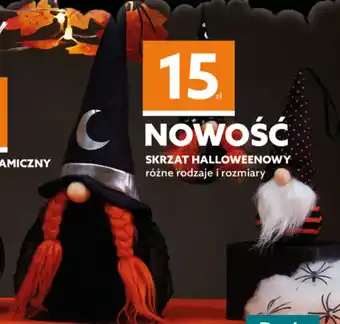 Dealz Skrzat halloweenowy oferta