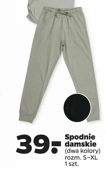 Netto Spodnie damskie oferta