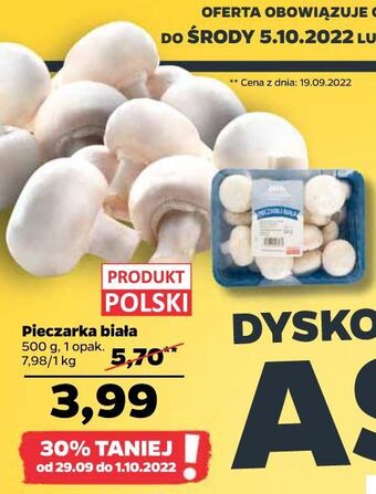 Netto Pieczarki oferta