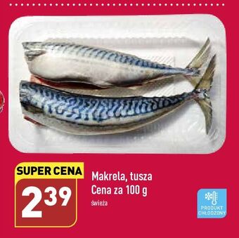ALDI Makrela tusza oferta