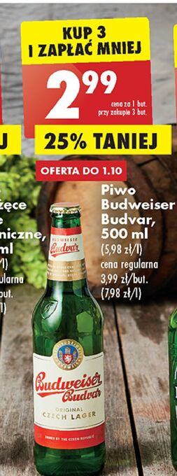 Biedronka Piwo budweiser oferta