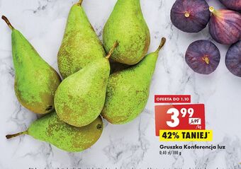 Biedronka Gruszki konferencja oferta