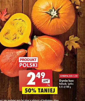 Biedronka Dynia hokkaido oferta