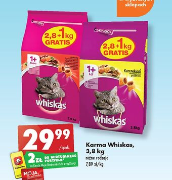 Biedronka Karma dla kota pasztet z wołowiną whiskas oferta