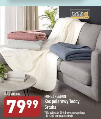 ALDI Koc polarowy 150 x 200 cm teddy home creation oferta