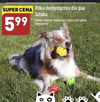 ALDI Piłka dentystyczna dla psa oferta