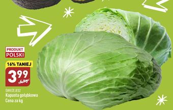 ALDI Kapusta gołąbkowa świeże jesz oferta