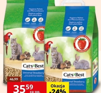 Kakadu Żwirek cat's best oferta