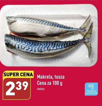 ALDI Makrela oferta