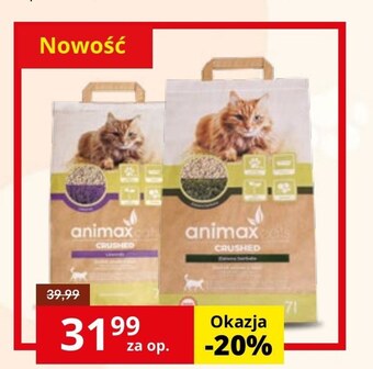 Kakadu Żwirek drewniany animax oferta