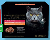 Biedronka Karma dla kota kitty oferta
