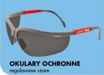 Mrówka Okulary Ochronne regulowane szare oferta