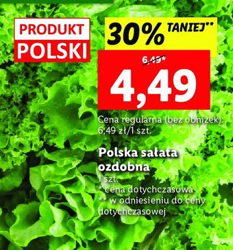 Lidl Sałata ozdobna oferta