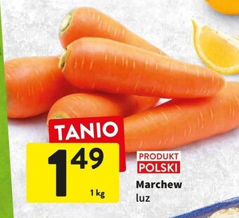 Intermarche Marchewka oferta