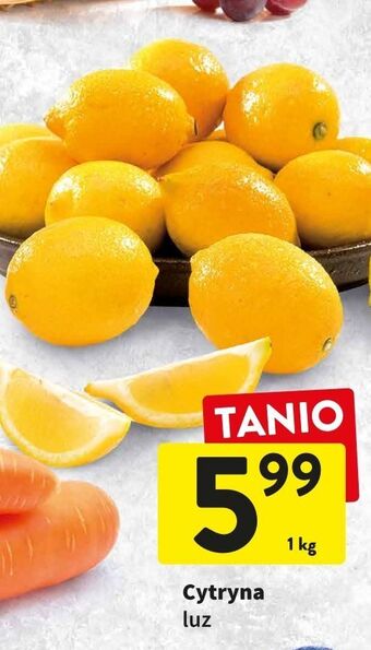 Intermarche Cytryny oferta