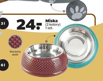 Netto Miska oferta