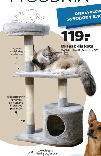 Netto Drapak dla kota oferta