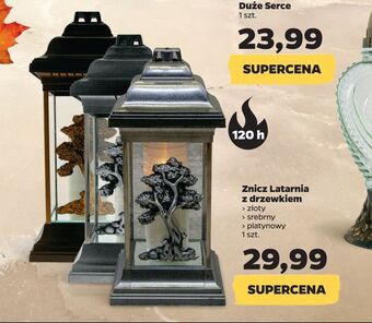 Netto Znicz latarnia z drzewkiem oferta