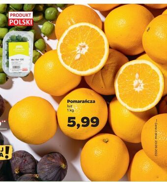 Netto Pomarańcza oferta