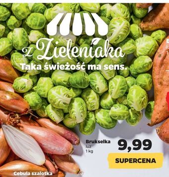 Netto Brukselka oferta