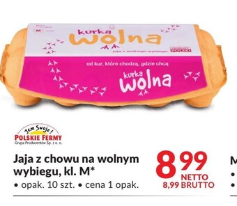 Makro Jaja kurka wolna oferta