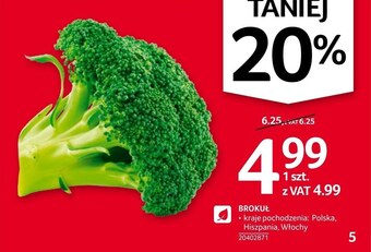 Selgros Brokuł oferta