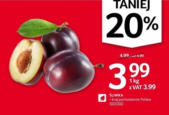 Selgros Śliwki oferta
