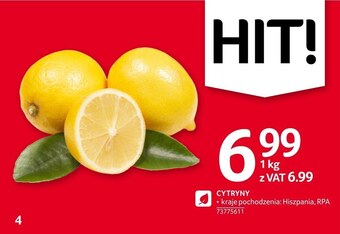 Selgros Cytryna oferta