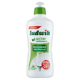 Makro Ludwik płyn do naczyń miętowy 450 g oferta