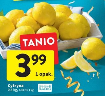 Intermarche Cytryny oferta