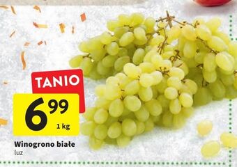 Intermarche Winogrona białe oferta