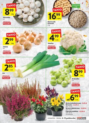 Intermarche Pieczarki oferta