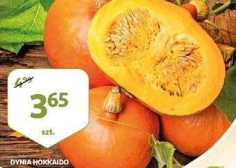 Auchan Dynia hokkaido oferta