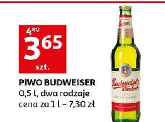 Auchan Piwo budweiser oferta