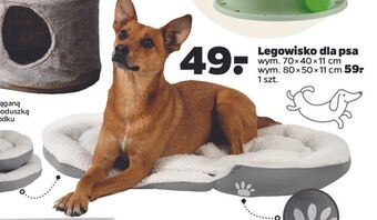 Netto Legowisko dla psa 80 x 50 11 cm oferta