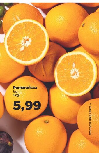 Netto Pomarańcze oferta