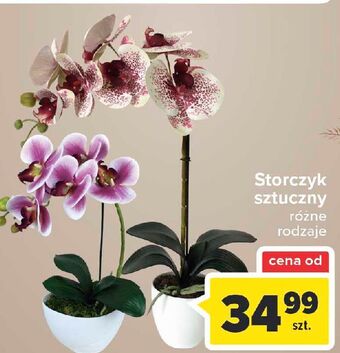 Carrefour Storczyk sztuczny oferta