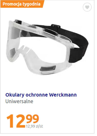 Action Werckmann okulary ochronne oferta