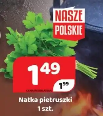 Delfin Natka pietruszki 1 sztuka oferta